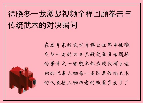 徐晓冬一龙激战视频全程回顾拳击与传统武术的对决瞬间